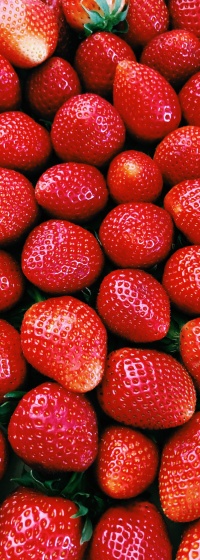 Red strawberries