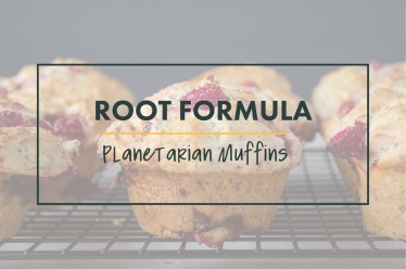Root formula for vegan planetarian muffins with fruits, berries, nuts, spices