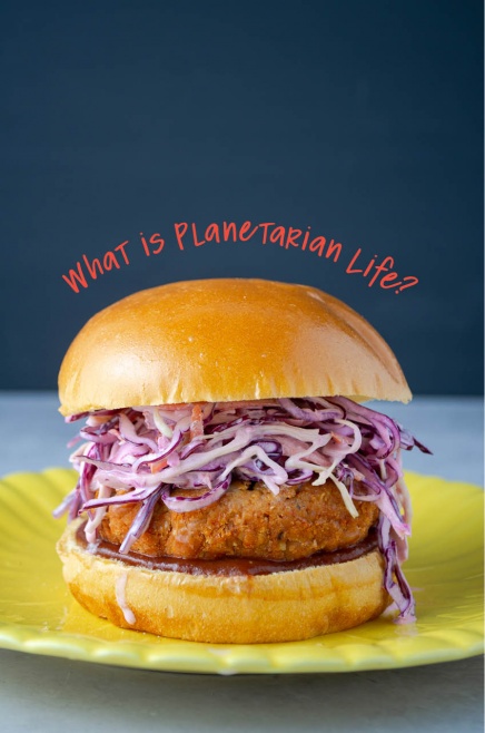 What is Planetarian Life- a plant-based bean burger with red cabbage coleslaw on a golden bun, sitting on a yellow plate