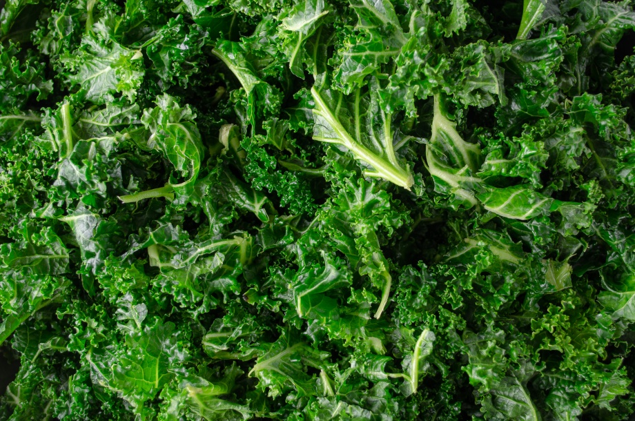 A pile of bright green massaged kale