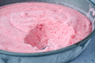 Instant Strawberry Dairy-Free, Vegan N'Ice Cream