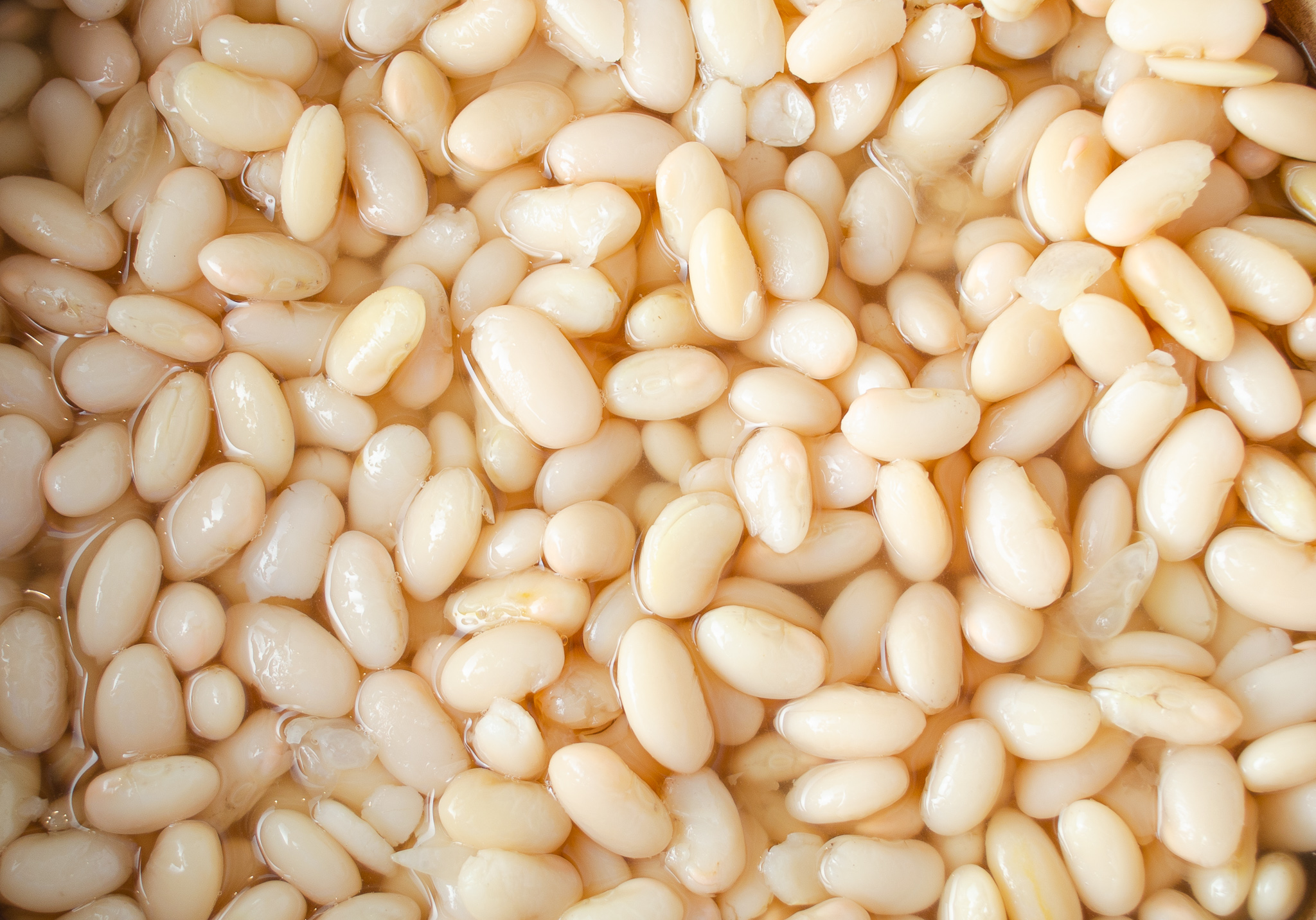 Simple pot of perfectly cooked, protein-rich white beans
