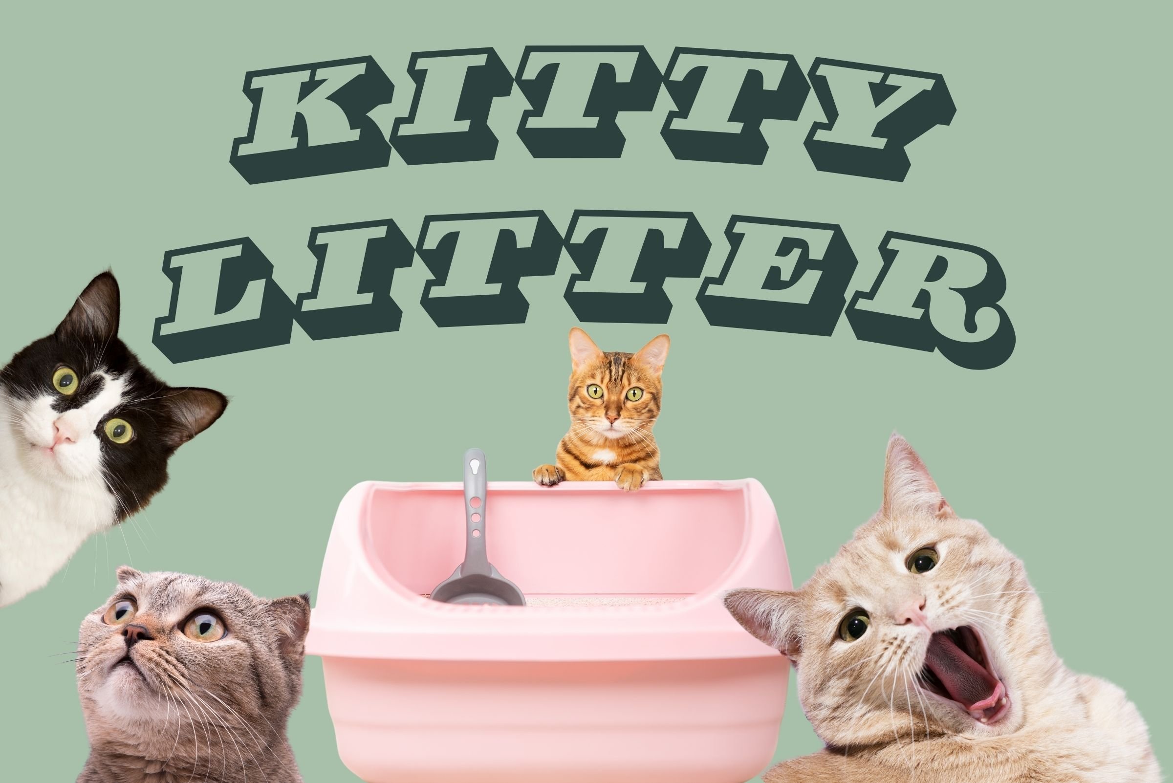 Kitty Litter - Planetarian Life